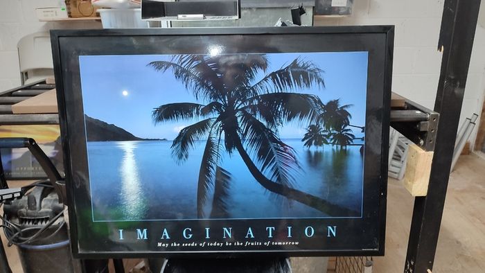 Imagination Poster Framed May the seeds of today be the fruits of tomorrow