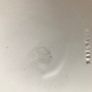 Wedgewood Cream Embossed Plate Image 4