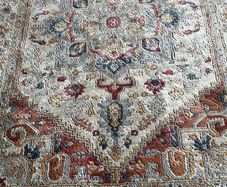 new rug - unused