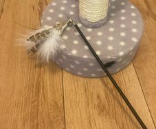 cat toys
