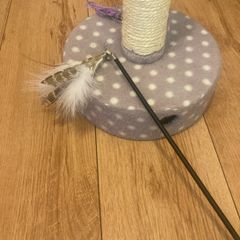cat toys