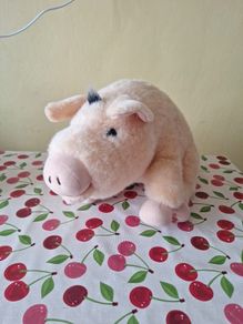 Singing Pig Toy