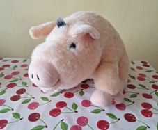 Singing Pig Toy