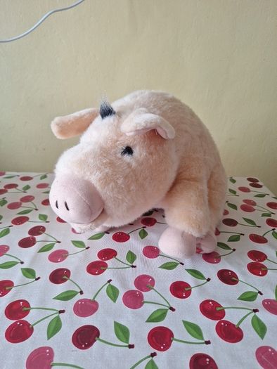 Singing Pig Toy