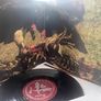 Melvins - Mangeled Demos From 1983 (Limited Edition 10" double album) Image 3