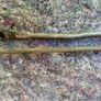 MK2 Mitsubishi Pajero Wiper Linkage Image 2