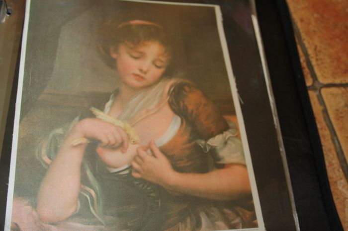 unframed silk picture
