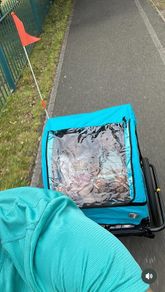 Bike trailer