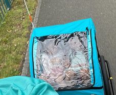 Bike trailer