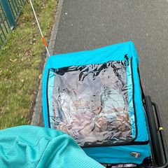 Bike trailer