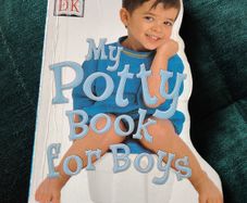 My Potty Book for Boys