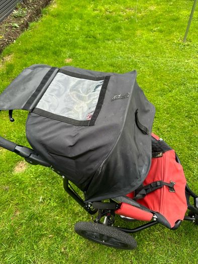 Delta Delichon Special Needs Buggy
