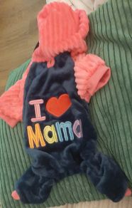 Dog onesie