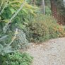 'The Country Garden' Image 7