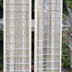 Florescent shed lights