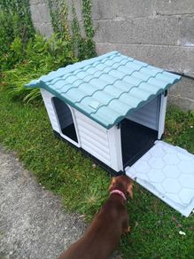 Dog Kennel