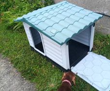 Dog Kennel