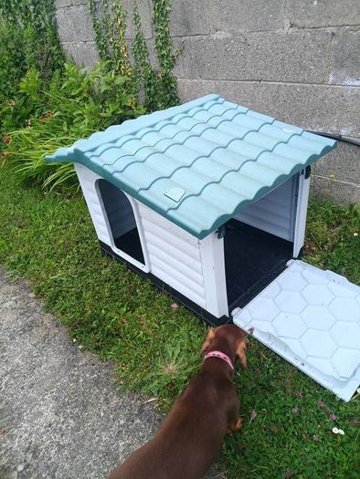 Dog Kennel
