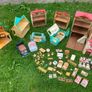 Sylvanian Families Collection Image 5