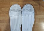 Cricket Pads
