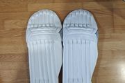 Cricket Pads