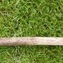 Traditional wooden shillelagh - rustic walking stick Image 2