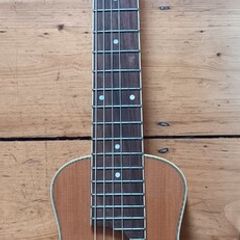 Johnson Jtr 1 Travel/Backpacker Guitar
