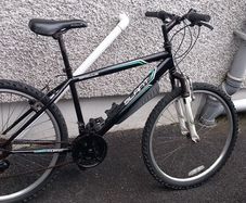 adult bike