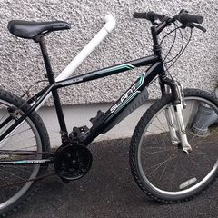 adult bike
