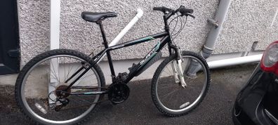 adult bike