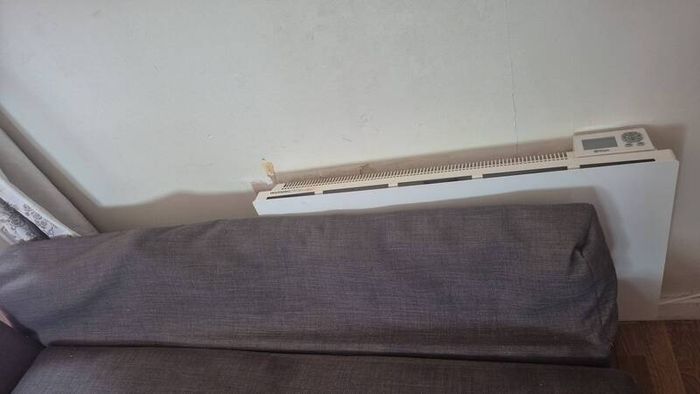 L couch Bed
