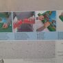 Puzzle mat Image 4