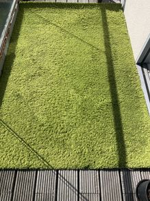 Green Rug