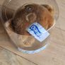 Charmin Bear Toy Teddy Image 3