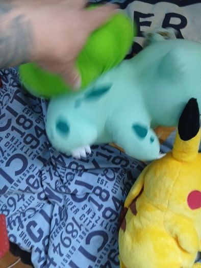 pokemon dolls