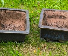 Garden Ceramic pot X 2