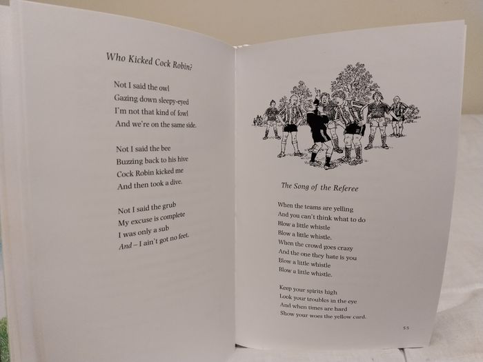 Friendly matches by Allan Ahlberg Hardback book