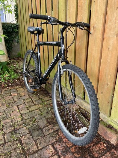 Adults bike (fully serviced)