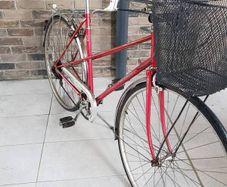 Retro Peugeot ladies bike( can deliver)