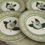Set of 4 Royal Horticultural Society 11 inches  Dinner Plate Discontinued China Pattern Applebee Collection English China Green/White Excellent Condition Image 5