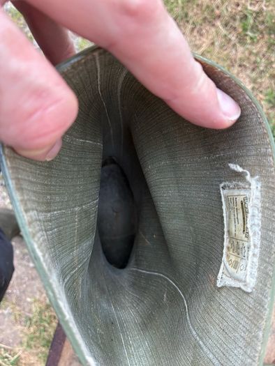 Size 10 steel toe wellington