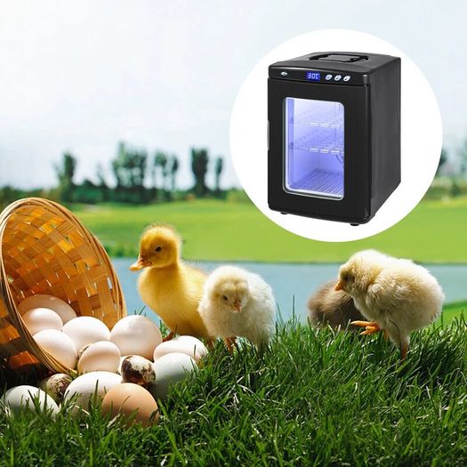 Egg Incubator Reptile Incubator 25L Scientific Lab Incubator Digital Incubator Cooling and Heating 5-42C Reptile Egg Incubator 12V/110V Work for Small Reptiles