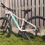 Trek Mountain Bike Image 8
