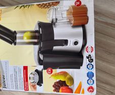Fruit juicer