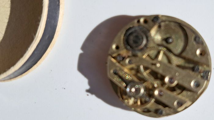 Lot of Antique Watch Parts in Containers
