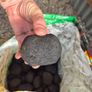 20kg Smokless Coal ovoids Fuel for Stoves & open fires Golden Glow @ OCG Image 6