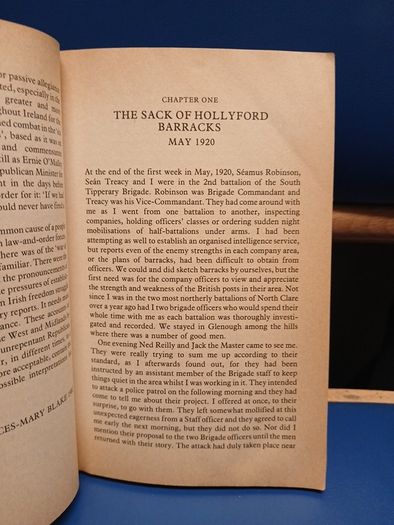 Raids and Rallies - Ernie O'Malley
