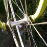 Vintage road bike Image 3