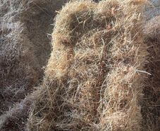 Small square bales