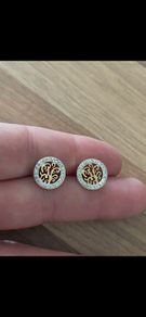 Stainless steel earrings